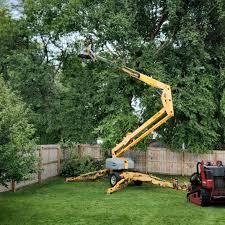 Best Firewood Processing and Delivery  in Austell, GA